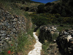 naxos paths