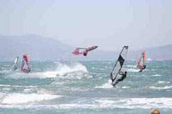 windsurf