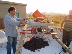 wine making